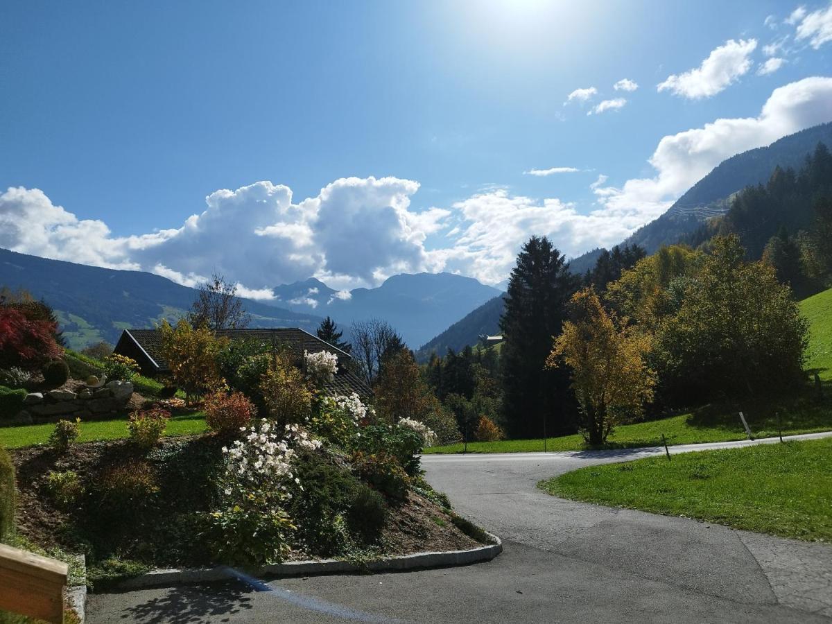 Apart Gerlossteinblick Aschau Im Zillertal Exterior foto