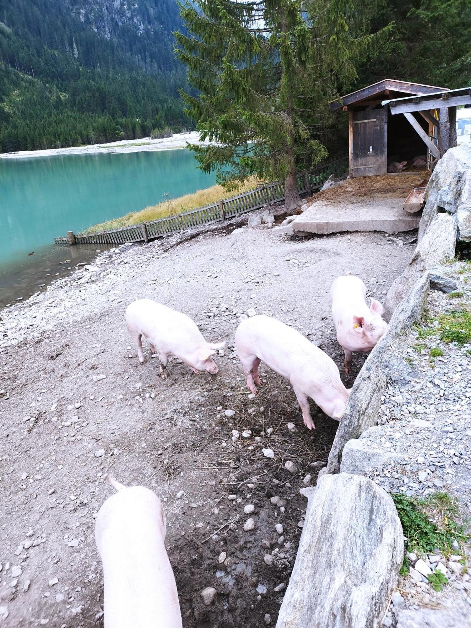 Apart Gerlossteinblick Aschau Im Zillertal Exterior foto